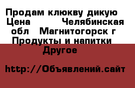 Продам клюкву дикую › Цена ­ 225 - Челябинская обл., Магнитогорск г. Продукты и напитки » Другое   